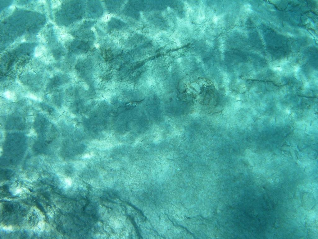 Villa Amalia Chalki Town Buitenkant foto